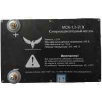 Supercapacitor module MSK-1,3-210